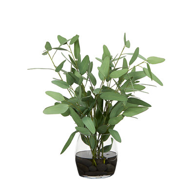 Eucalyptus bleu dans un vase en verre