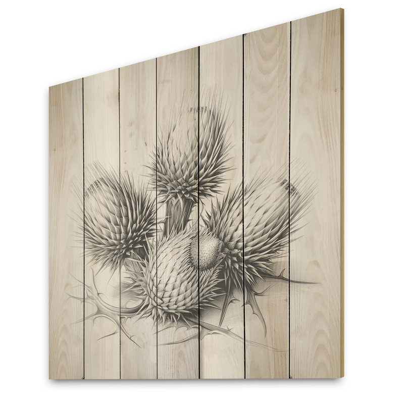 Black And White Thistle Flowers - Thistle On Wood Print, 15" H x 15" W