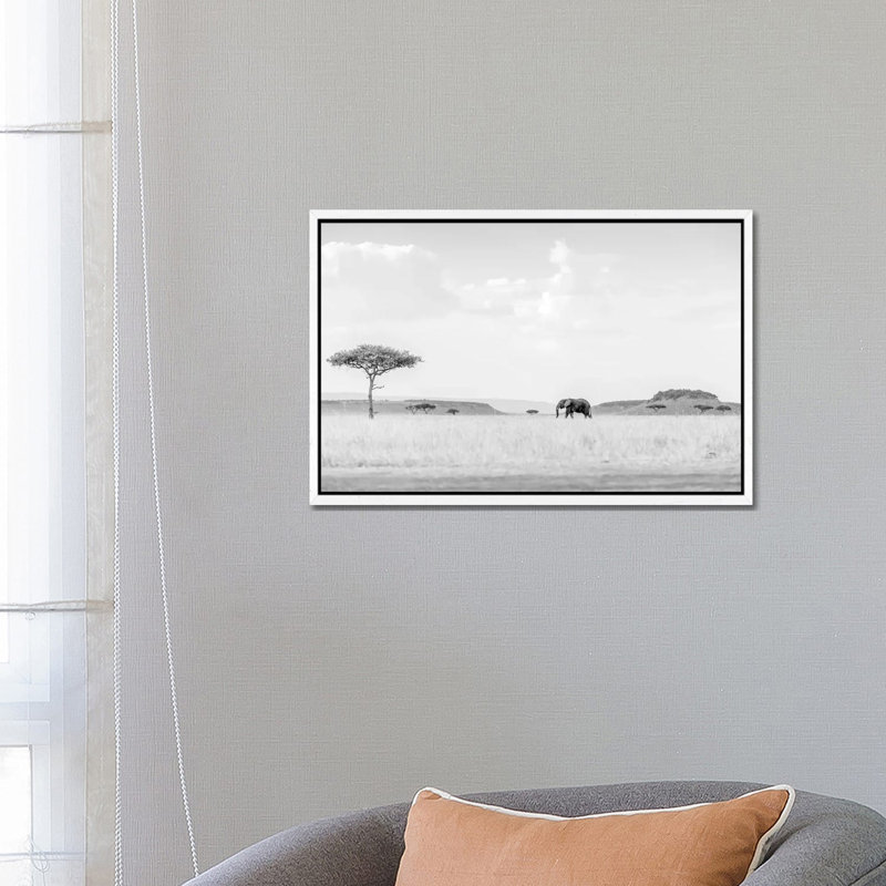 High Key Savannah by Jaco Marx - Print on Canvas, White Floater Framed, 45.72cm H x 66.04cm W x 3.81cm D