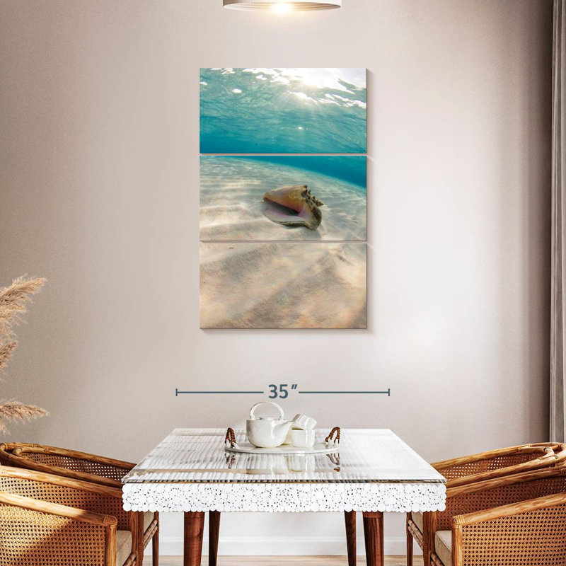 Aletra Underwater Seashell, 45" H x 28" W