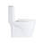 Small Compact One Piece Toilet Dual Flush