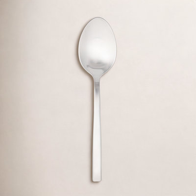 Arezzo Brushed Serving Spoon