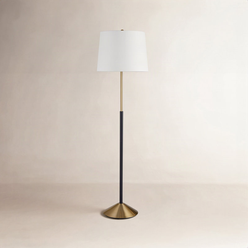 Finan 62'' Brushed Traditional Floor Lamp