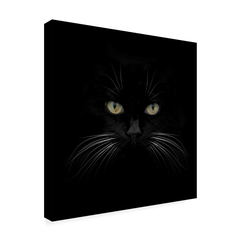 Art mural sur toile tendue - «Black Cat Centered» par Lori Hutchison pour décoration de salon, de chambre à coucher ou de bureau - 24 x 24