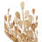 Maypan Chandelier