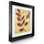Marsala Moment I - reproduction de photo encadrée sur papier-1068122804-1068122813