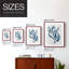 Navy Kelp I Framed Print - Solid Wood-112365078-112365083