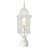 Sorrells Frosted Lantern Head-23974176