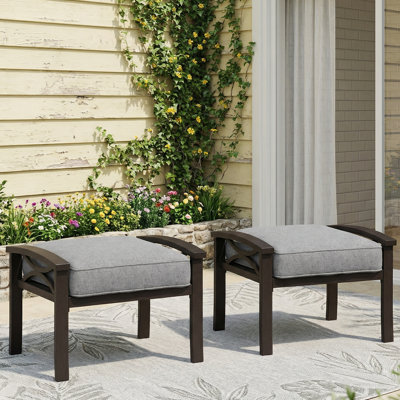 Dorisann Iron Outdoor Ottoman with Cushion