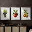 Fruit antique 8 - impression encadrée de qualité supérieure sur mesure mat - 3 pièces-2075756782-2075756778