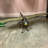 Dragonfly Insect Over Sized Statue