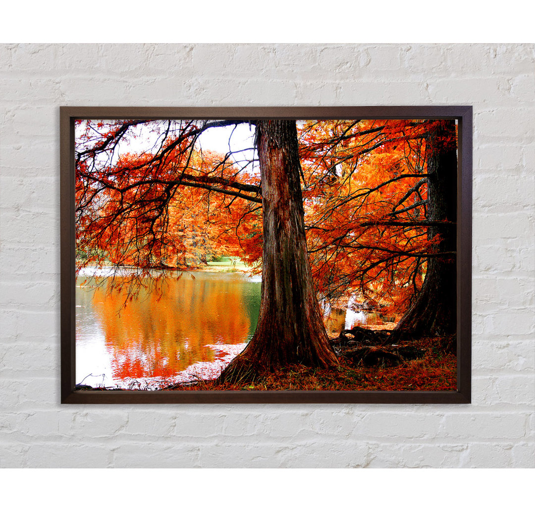 Autumn Orange River Reflections - Einzelbildrahmen Kunstdrucke auf Leinwand