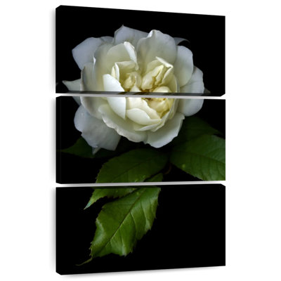 Harnek Lone White Rose