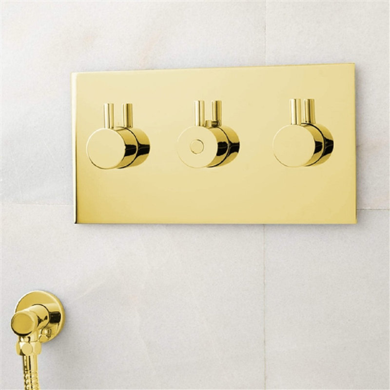 Pomme de douche à fixation murale BathSelect
