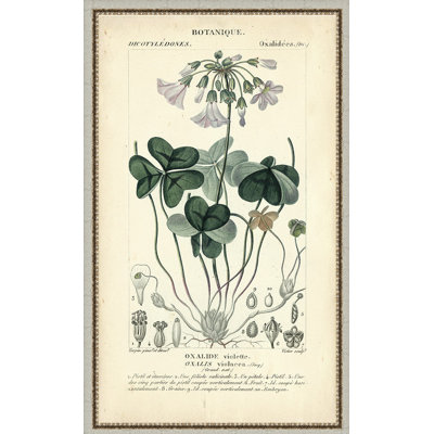 " Botanique Study In Lavender I "