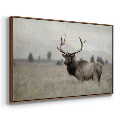 " Grand Elk "