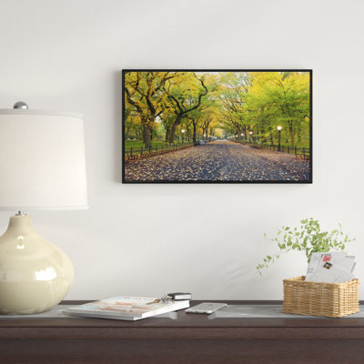 " The Mall Area In Central Park "
