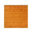 Handwoven Wool Gabbeh Uni Yellow Rug-293064536