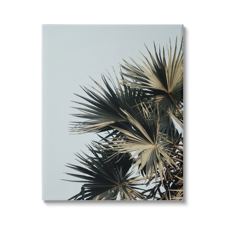 Au-444-Toile, plante de palmier, feuilles, ciel bleu sur toile par Krista Broadway, H 48 po x l 36 po x P 1,5 po