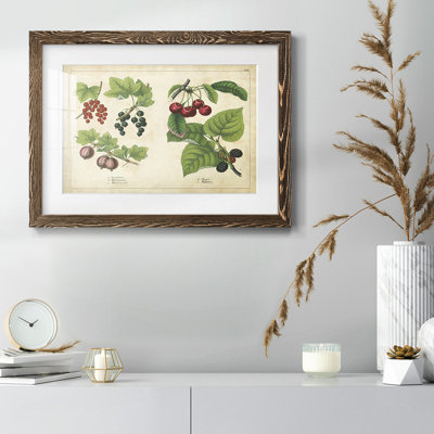 " Kitchen Fruits III "