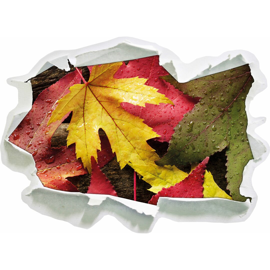 Bunte Herbstblätter Wandsticker