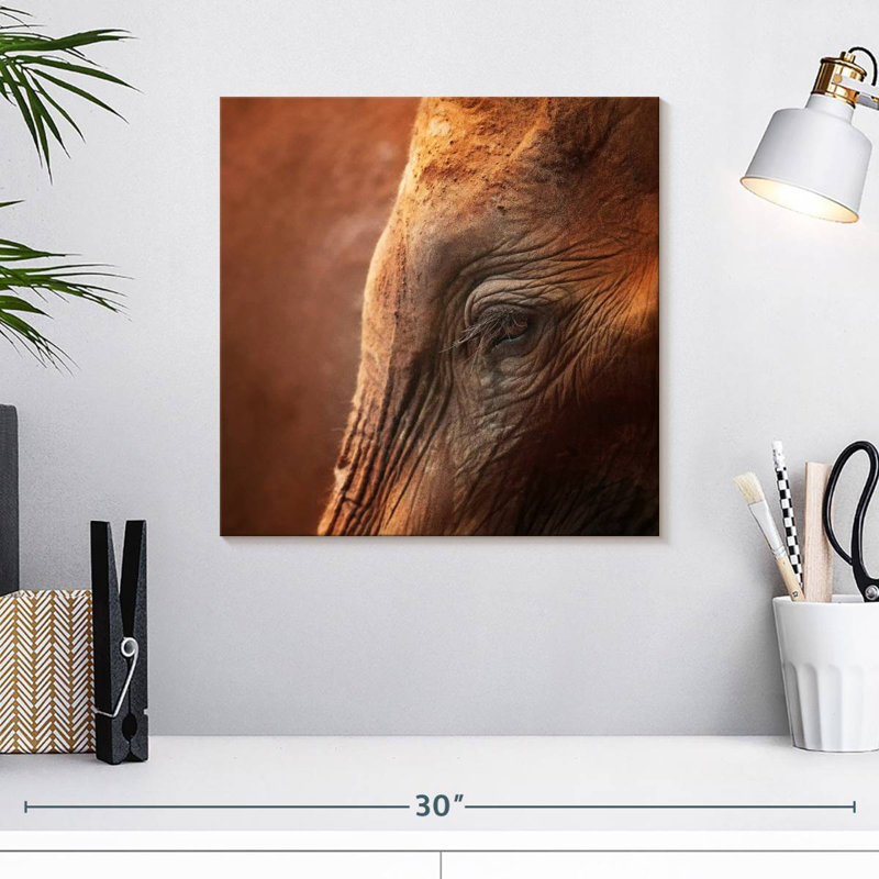 Crowle Elephant Lashes, 16" H x 16" W
