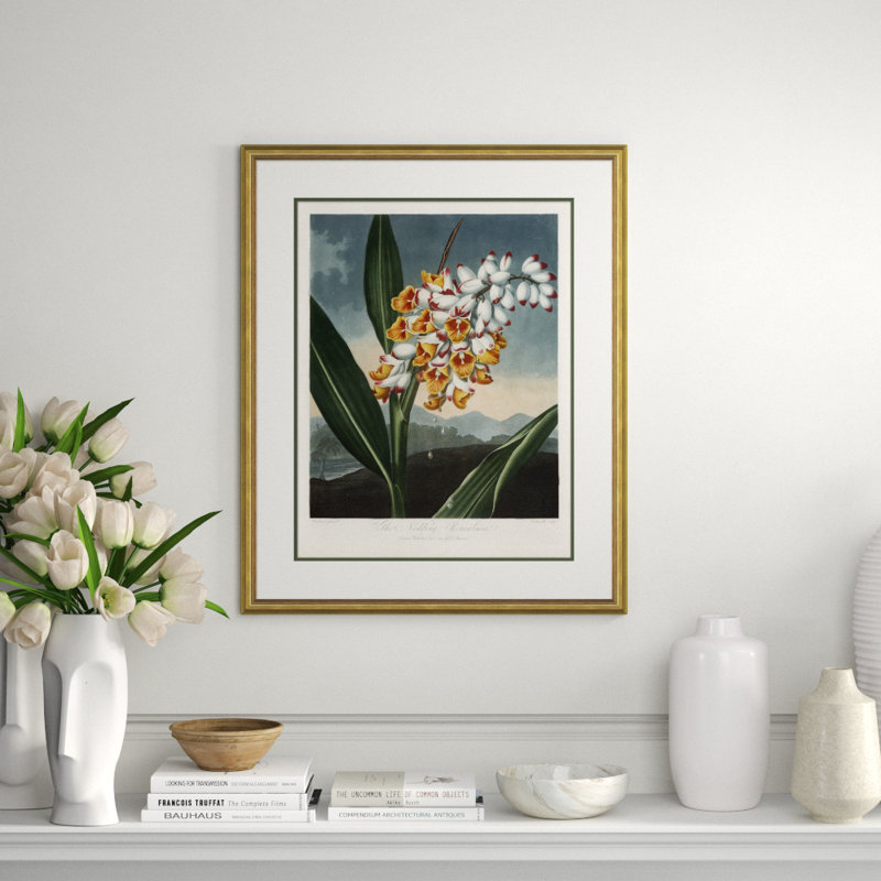 Botanicals Framed