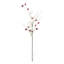 Pomegranate Branch 48"