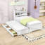 Izquierdo LED Storage Bed with Hidden Compartment and Twin Trundle-1442892831-1442892821