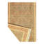 Oriental Area Rug in Brown