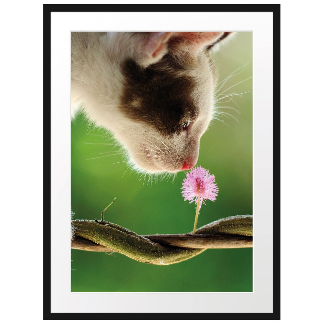 Gerahmtes Poster Süßes Kätzchen mit Blüte