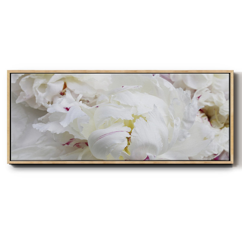 Breathless VI- Framed Canvas, 24" H x 60" W
