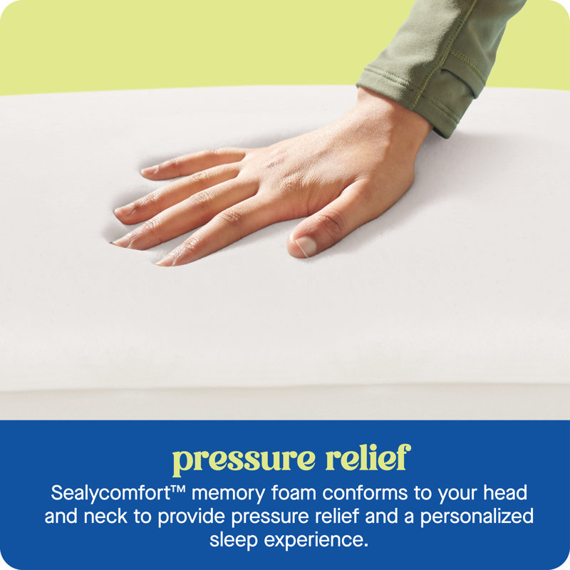 Sealy Dreamlife Memory Foam Medium Pillow, 1, King