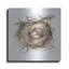 «Bird Nest Study IV» par Ethan Harper-775182566