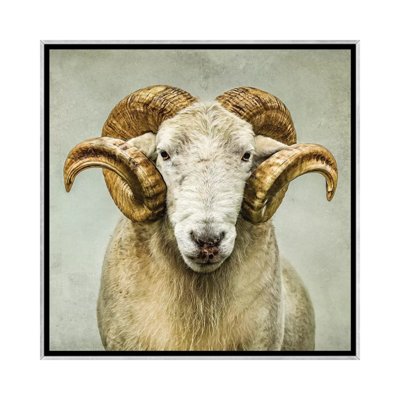 « Stare » par Mark Gemmell-impression d’art graphique, Pas de tapis, H 26 po x l 26 po x P 1,5 po, Toile avec cadre argenté