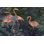 " Flamingos In Blue Garden " by Fab Funky