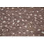 Tapis brun marocain moderne 5 x 8