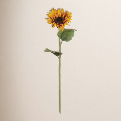 Sunflower Stems