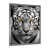 Silver Single Picture Framed