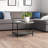 Bertran 4 Legs Coffee Table with Storage-655262449-655224041