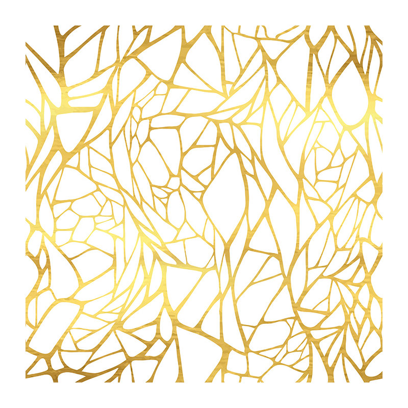 Aketzaly Matte Peel and Stick Mural, 250 x 250cm