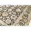 Oriental Area Rug
