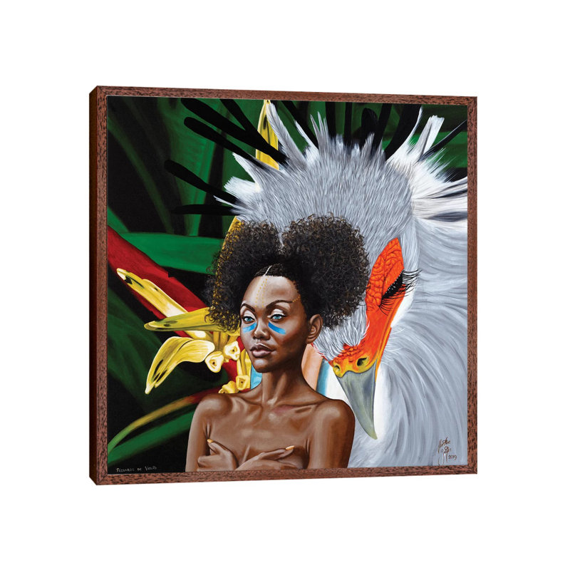 Passaros De Verao by Christian Beijer - Print on Canvas, Classic Brown Wood Framed, 45.72cm H x 45.72cm W x 3.81cm D