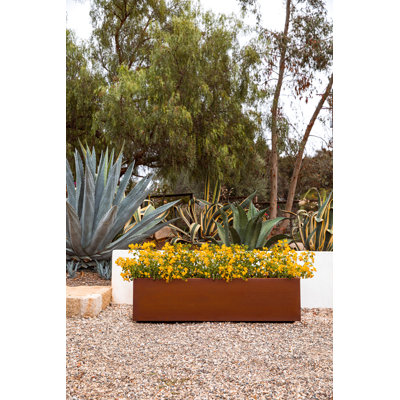 Jardinière en forme de boîte longue en acier Corten