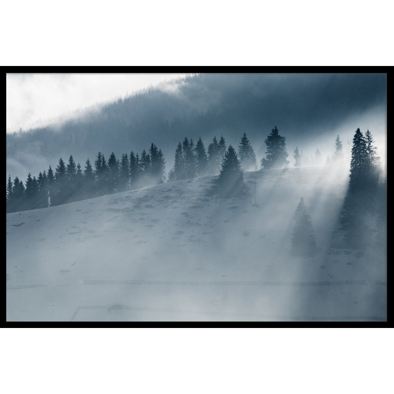 Blue Misty Forest - Print, White Framed, 64.4cm H x 84.4cm W x 1cm D