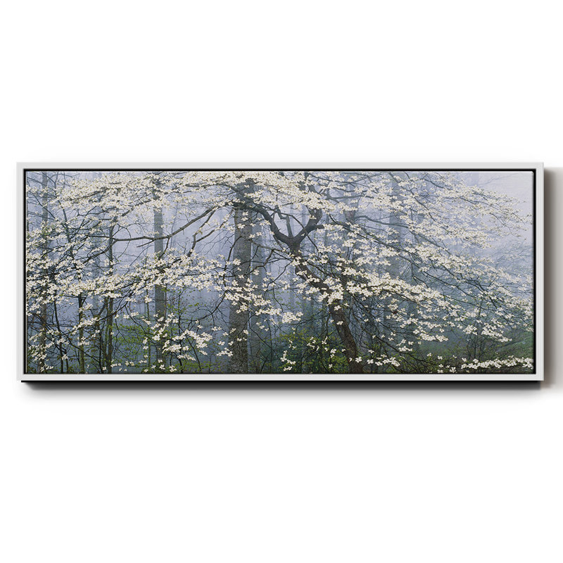 Dogwood Canopy- Framed Canvas, 24" H x 60" W