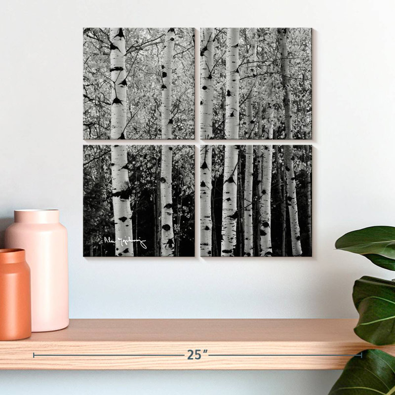 Alvord Aspens en automne BW, H 18 po x l 18 po