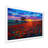 Poppy Fields - Traditional Wall Decor-1606892745-1606892750