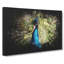Peacock Vol.2 - Wrapped Canvas Print-61877736