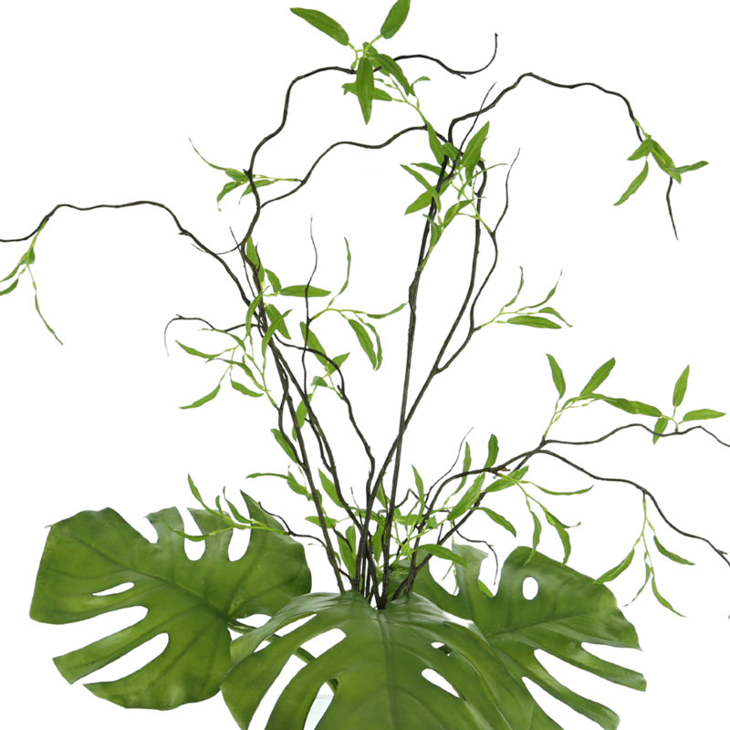 Arrangement cento de feuilles et de saules dans un vase en verre transparent